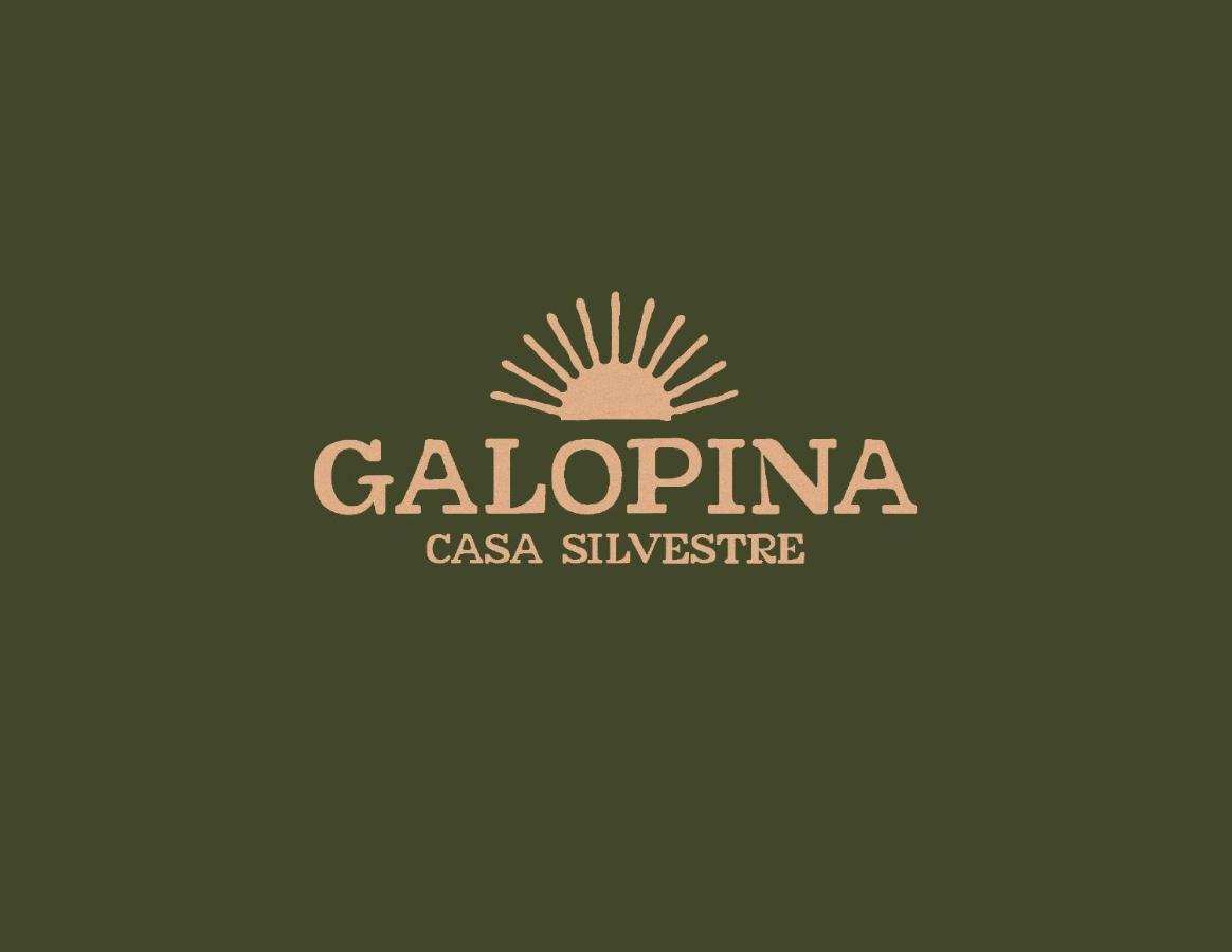 Galopina Bed & Breakfast Seye Ngoại thất bức ảnh
